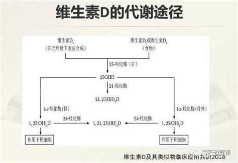 维生素d2和d3有什么区别