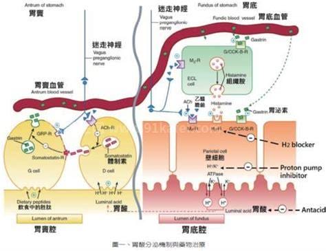 H2受体拮抗剂什么时候服用