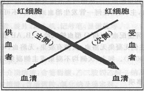 交叉配血什么意思