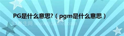 pg是什么意思