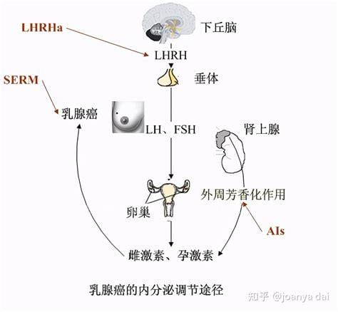 性激素不正常怎么治疗