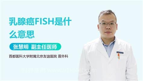 fish检查是什么