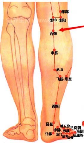 合阳穴的位置在哪里