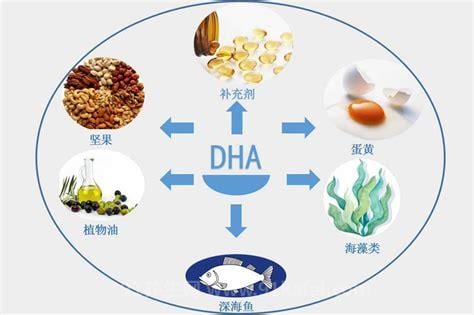 细胞食物的功效和作用