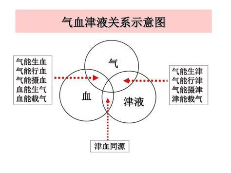 津液是什么