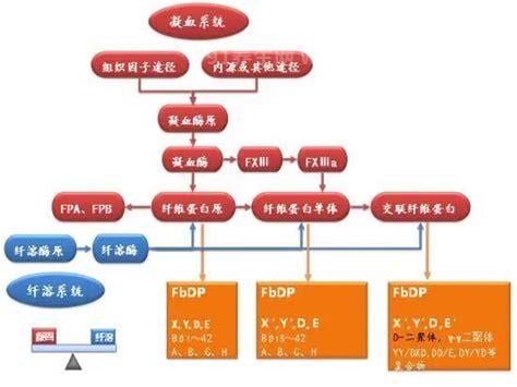 血浆二聚体是什么