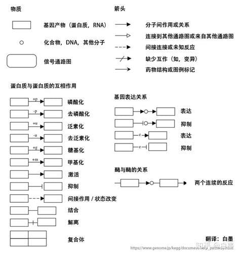 通路是什么意思