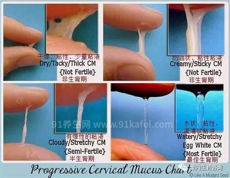 正常白带和排卵白带的区别