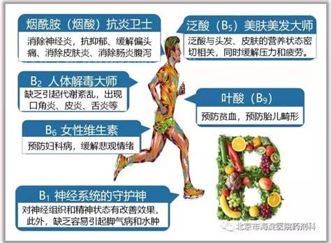 维生素b13的作用及功能介绍