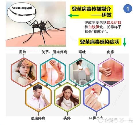 被登革热感染后有抗体吗