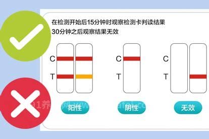 抗原上面的c和t是什么意思