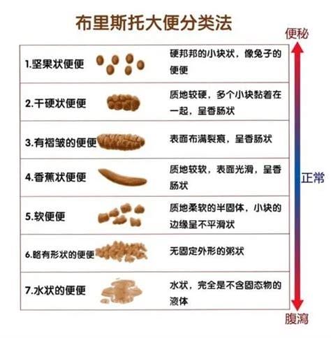 大便不成形,还粘马桶上是什么原因