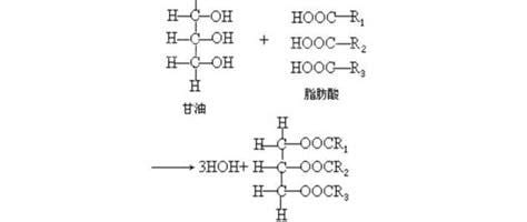 三酸甘油酯偏高有什么危害