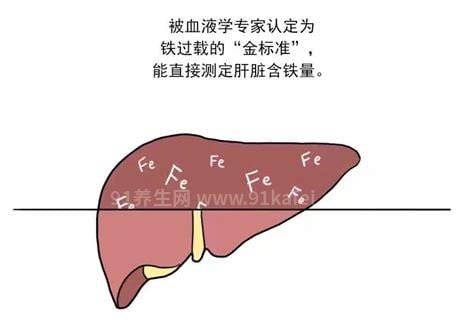 这三类人容易铁过载    专家呼吁：重视铁过载祛铁治疗  提升患者门诊用药可及