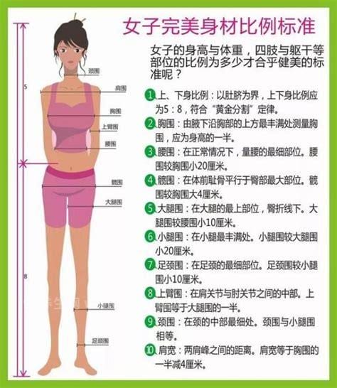 女性的三围怎么量才最准确