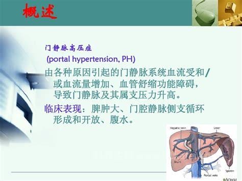 门静脉压力正常值