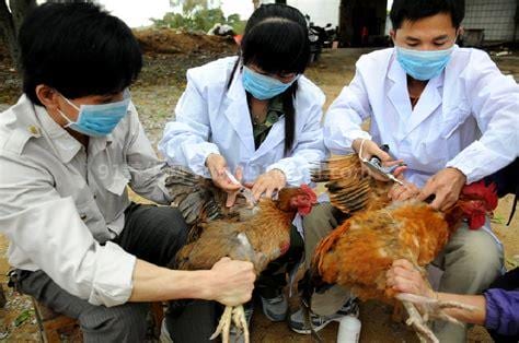 上海H7N9禽流感密切接触者尚无异常 安徽患者仍在抢救