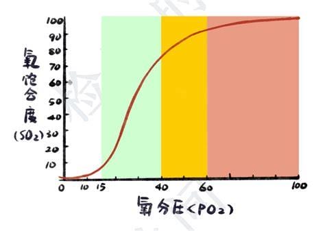 氧分压的正常值是多少