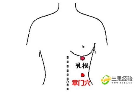 章门的准确位置图和作用,章门的准确位置