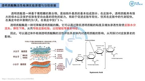 活性酶功效