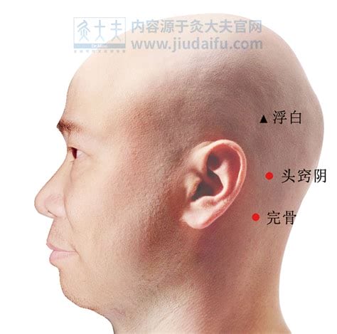 头部胆经的准确位置图片,头窍阴的