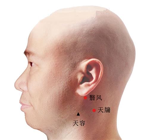 听宫听会翳风的准确位置,听会的位