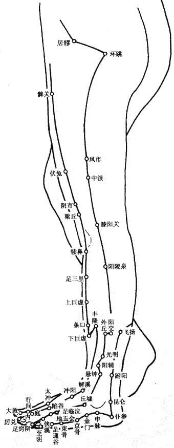 大腿肝经位置图,肝胆经在大腿内侧还是外侧