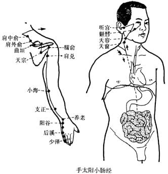 12条经络循行路线,手太阳小肠经经循行图,手太阳小肠经作用