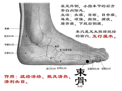 束骨的准确位置图和作用,悬钟的准