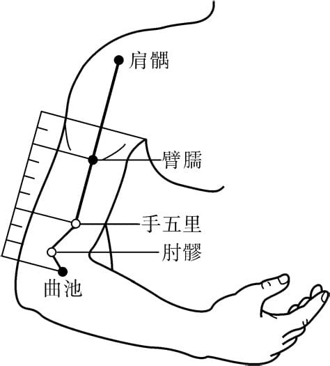 肩内陵的准确位置图,臂臑的准确位