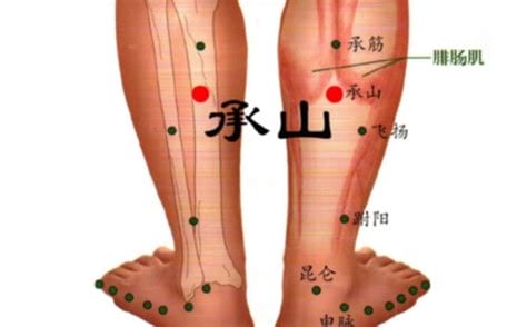 承山穴的功效