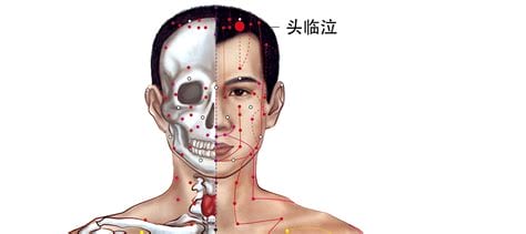 头部胆经的准确位置图和作用,头临泣的准确位置图