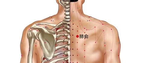 大椎肺俞的准确位置图,艾灸大椎的