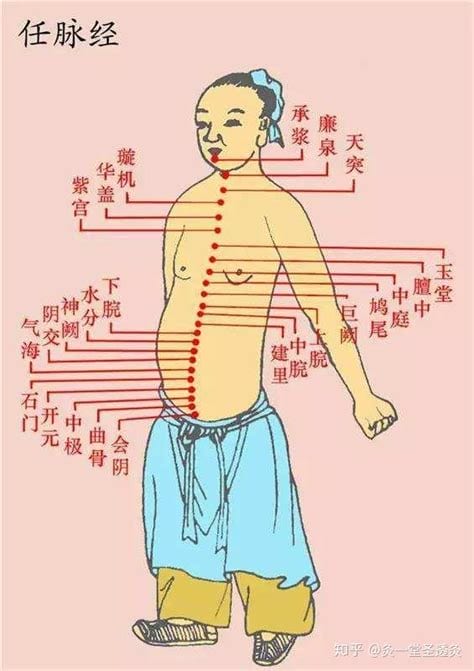 任督二脉的准确位置图,申脉的准确位置图