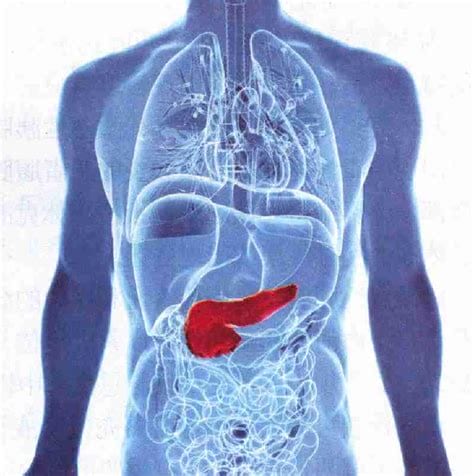 胰腺炎是哪个部位疼位置图