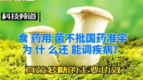 真菌多糖的功效