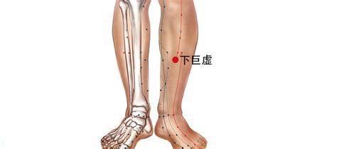 下巨虚的准确位置图,蠡沟准确位置怎么找