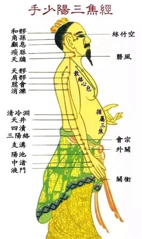 手少阳三焦经,手少阳三焦经经络示意图,三焦经穴位图