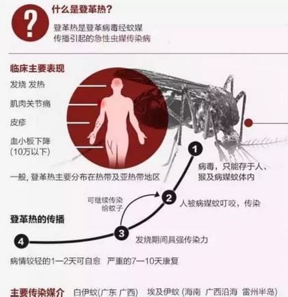 登革热病是什么症状图片