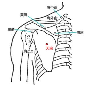 天中在哪个位置图,天宗怎么简单取