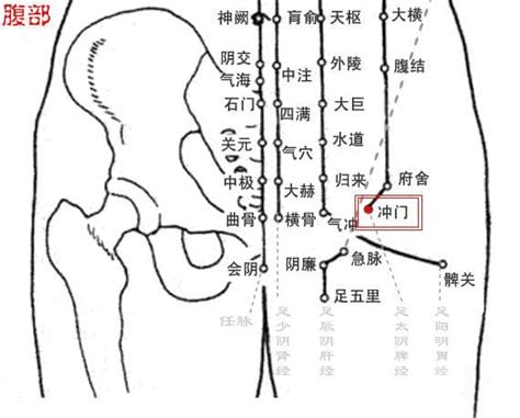 冲门穴的功效与作用