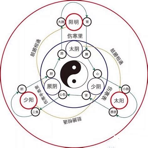 经络别通关系口诀,运内八卦的准确