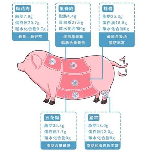 猪身上有一块肉，叫做“槽头肉”，买时擦亮双眼，肉贩自己都不吃