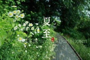 7月11日入头伏，6种传统食物要记得吃