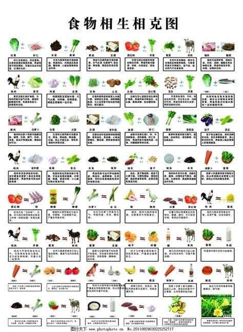 100种食物相克大全清单，大家赶紧收