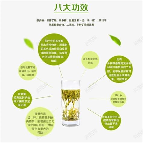 大茶药作用与功效_药用功效