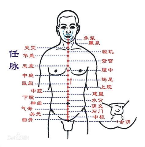 任脉督脉作用(什么叫任督脉)