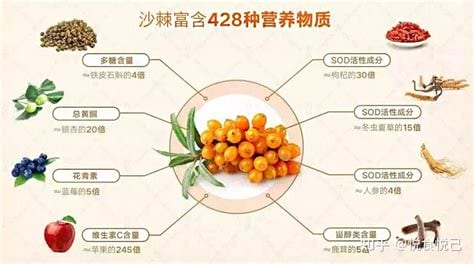 沙棘什么时候喝好，早上7到11点饭后1小时饮用最佳