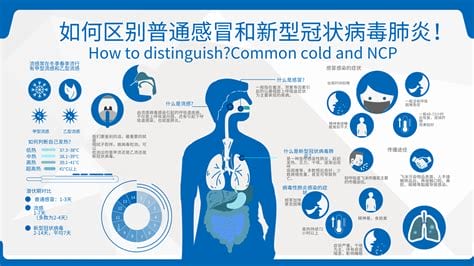 甲流修复的征兆病症是什么，3天左右