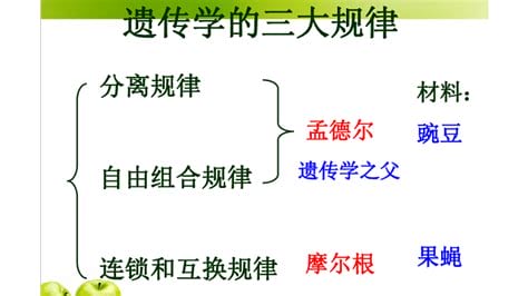 什么是三次幽会基本定律是什么含意，有好感幽会三次必拿到